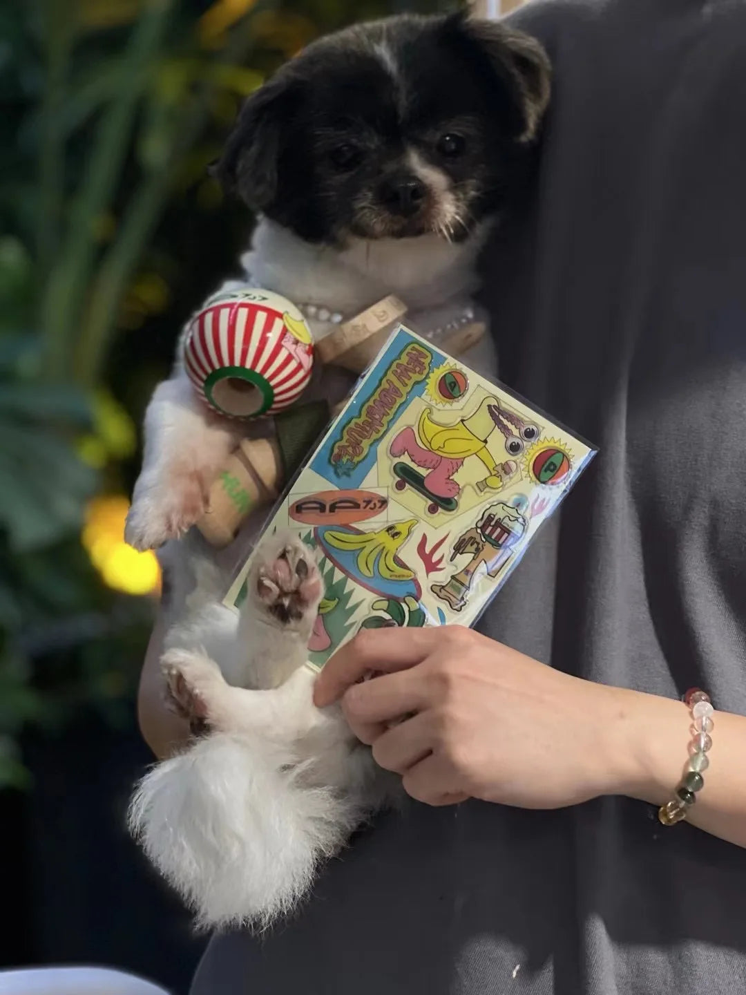 Kendama HUN X AP717 – Ediție Joint Parallel Store Sword Jade